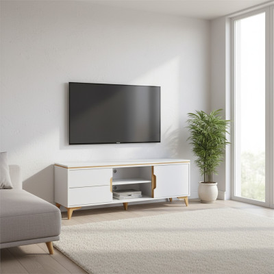 TV Lowboard TV Tisch TV Schrank Modern Wohnzimmer Kollektion Sideboard Möbel Neu