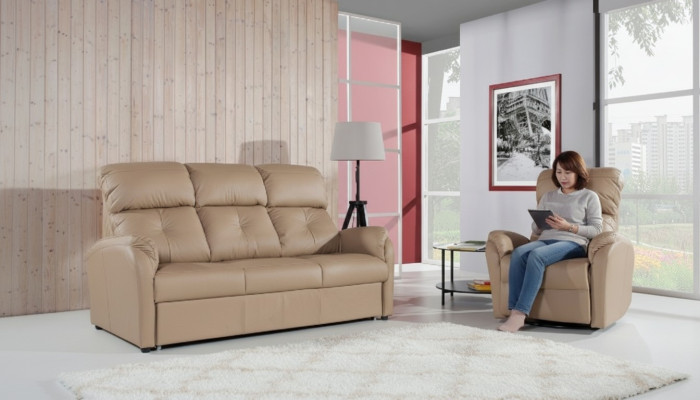 Sofagarnitur 3+2 Sitzer Set Design Sofa Polster Couch 100% Leder Bettfunktion