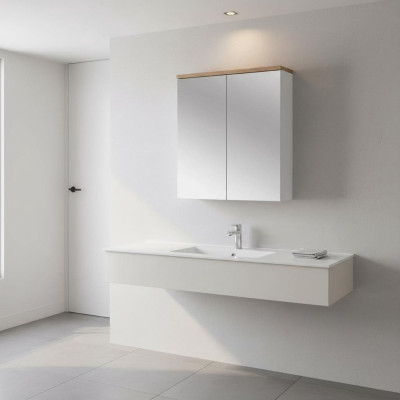 Spiegelschrank Badezimmerschrank Badspiegel 60x20x70 cm Schränke