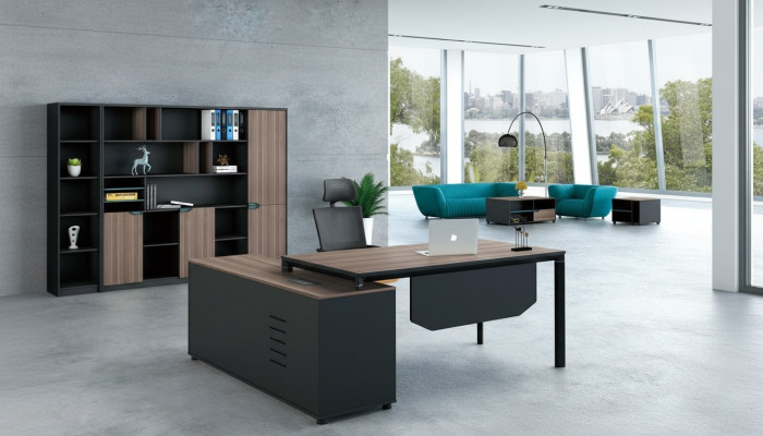Aktenschrank Bücherregal Regale Schrank Luxus Büro Deko Möbel Schränke