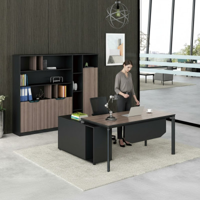 Aktenschrank Bücherregal Regale Schrank Luxus Deko Büro Möbel Schränke