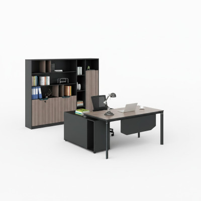 Aktenschrank Bücherregal Regale Schrank Luxus Deko Büro Möbel Schränke