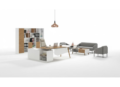 Aktenschrank Bücherregal Regale Schrank Deko Luxus Büro Möbel Schränke