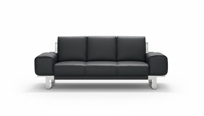 Sofa Ledersofa Polster Sitz 3er Lounge Club Sofas Couchen Leder Dreisitzer Neu