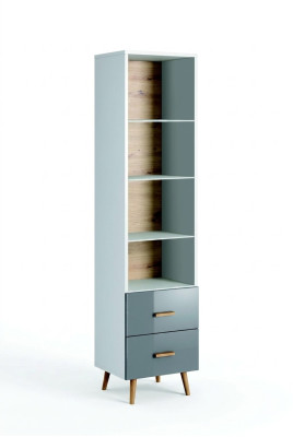 Bücherregal Vitrine Vitrinenschrank Glasschrank Klassische Schrank Bücherschrank