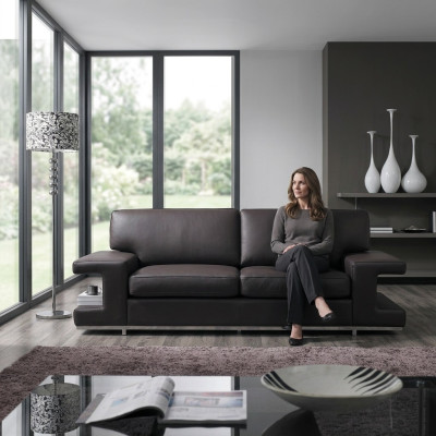 Sofa Couch Polster 2 Sitzer Leder Sofas Couchen Sitz Garnituren Design