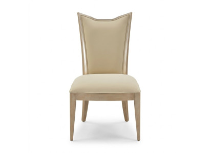 Stuhl Sessel Polster modern Stuhl Designerstuhl Esszimmer Lehnstuhl