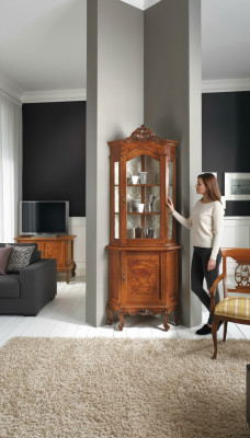 Schränke Holz Vitrinen Glas Schrank Echtholz Vitrine Wohnzimmer Möbel Anrichte
