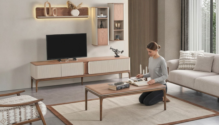Sideboard tv Lowboard Schrank Couchtisch Wohnzimmer Modern Beige Holz