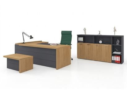 Arbeitszimmer Garnitur Schreibtisch Schränke Couchtisch Büroeinrichtung