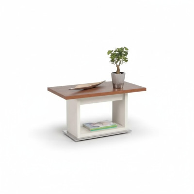 Brauner Couchtisch Holztisch Mit Ablage Braun Exklusive Wohnzimmer Möbel