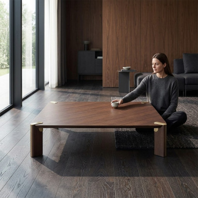 Couchtisch Beistelltisch Wohnzimmer Kaffeetisch Braun Holz Tisch