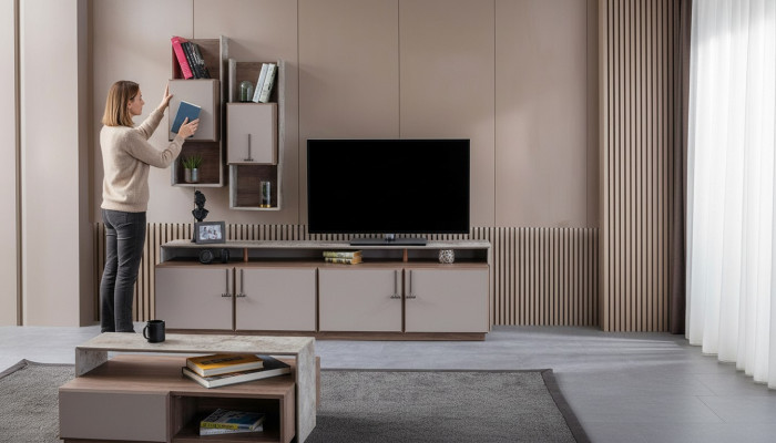 TV Ständer Wandschränke Sideboard RTV Lowboard Grau Wohnzimmer Holz