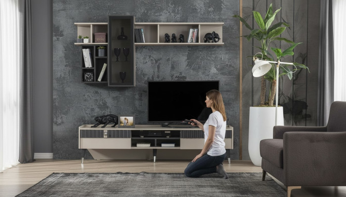 Exklusives Sideboard Modernes Regal TV-Ständer Holz Lowboard Möbel Neu
