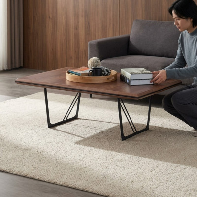 Couchtisch Kaffeetisch Sofatisch Beistelltisch Holz Braun Holztisch