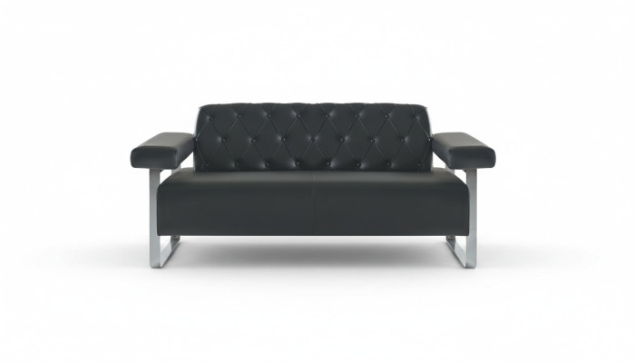 Luxus Schwarz 2-Sitzer Sofa Chesterfield Stil Original Designer Modern
