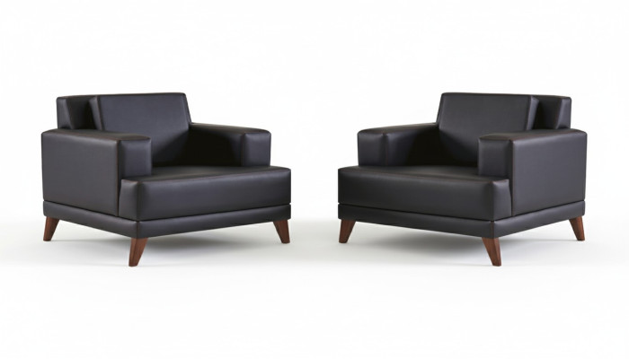 Lehnsessel Leder Sessel Schwarz Modern Polster Kissen 1-Sitzer Holz