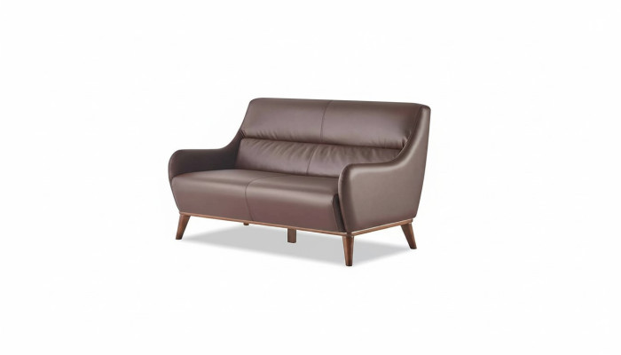 Ledersofa 2-Sitzer Sofa Braun Klassisch Leder Holz Weiche Armlehnen