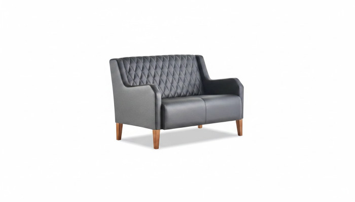 Sofa Schwarz 2-Sitzer Couch Leder Modern Zweisitzig Ledersofa Holz Weich