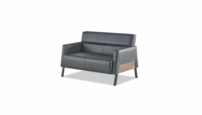 Sofa Schwarz 2-Sitzer Ledersofa Modern Couch Leder Edelstahl Zweisitzig