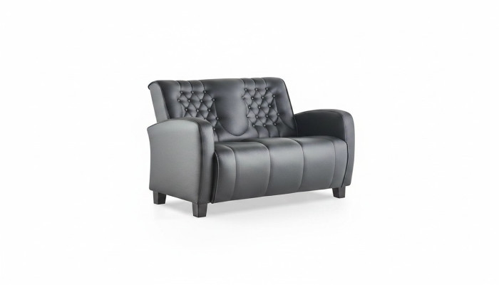 Ledesofa Chesterfield Couch 2-Sitzer Sofa Modern Zweisitzig Leder Holz