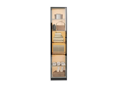 Vitrine Schrank Modern Schwarz Glas Design Luxus Beleuchtung Modul